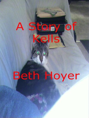 cover image of A Story of Kells